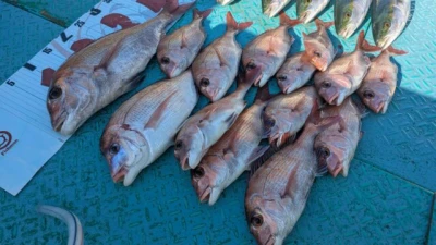 優誠丸の2025年11月14日(金)3枚目の写真