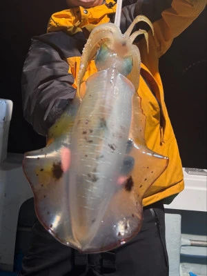 ちどり丸の2025年11月8日(土)1枚目の写真