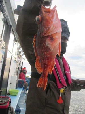 松福丸の2025年11月12日(水)2枚目の写真