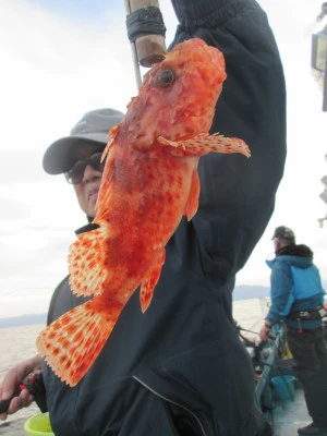 松福丸の2025年11月12日(水)3枚目の写真