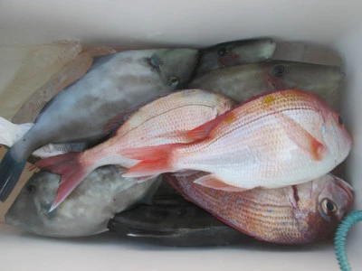 松福丸の2025年11月12日(水)4枚目の写真