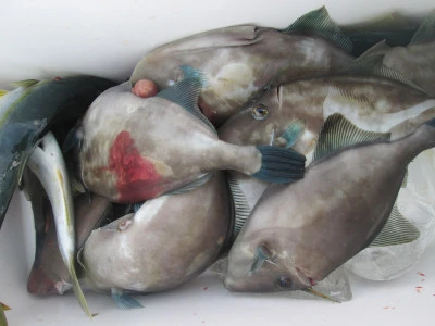 松福丸の2025年11月12日(水)5枚目の写真