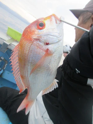 松福丸の2025年11月8日(土)3枚目の写真