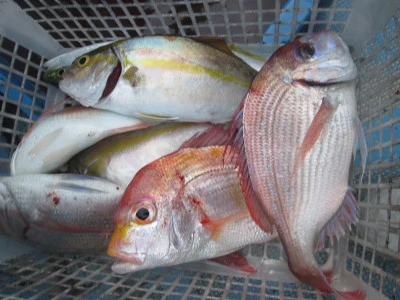 松福丸の2025年11月8日(土)5枚目の写真