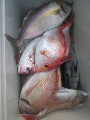 松福丸の2025年11月4日(火)3枚目の写真