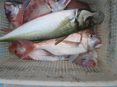 松福丸の2025年11月4日(火)4枚目の写真