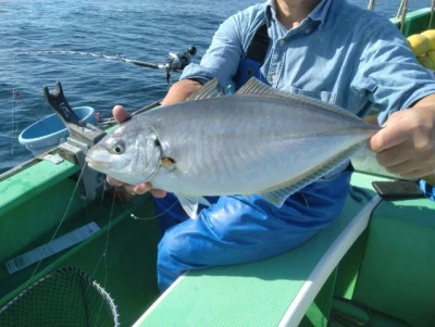 なごみ丸の2025年11月15日(土)1枚目の写真