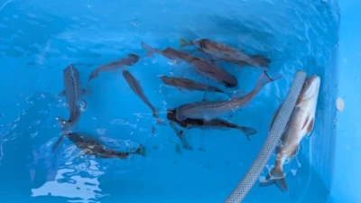 優誠丸の2025年11月15日(土)2枚目の写真