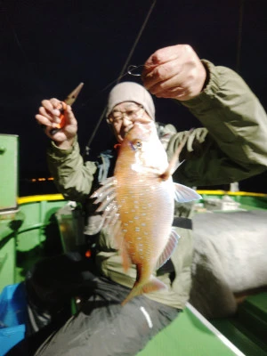 豊丸の2025年11月16日(日)5枚目の写真