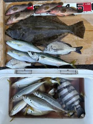 金丸渡船の2025年11月16日(日)2枚目の写真