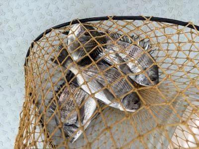 金丸渡船の2025年11月16日(日)4枚目の写真