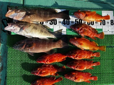 愛晃丸フィッシングの2025年11月15日(土)1枚目の写真