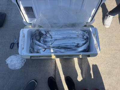 名勝丸の2025年11月16日(日)5枚目の写真