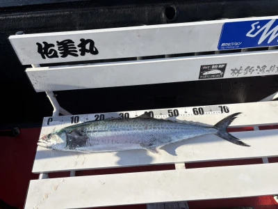 佑美丸の2025年11月16日(日)2枚目の写真