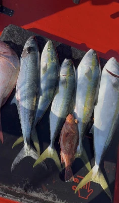 佑美丸の2025年11月16日(日)3枚目の写真