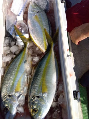 優幸丸の2025年11月15日(土)1枚目の写真