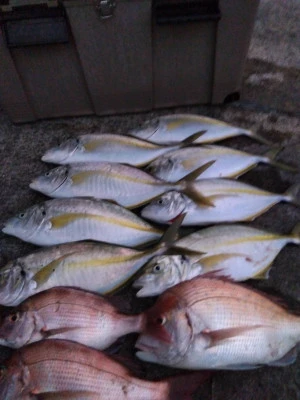 優幸丸の2025年11月16日(日)2枚目の写真