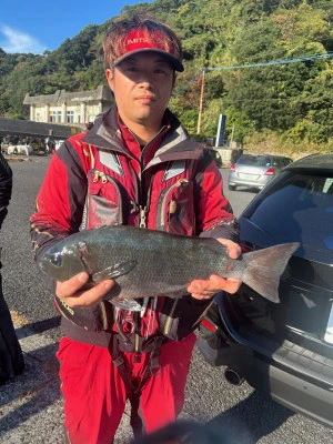 てる丸の2025年11月16日(日)4枚目の写真