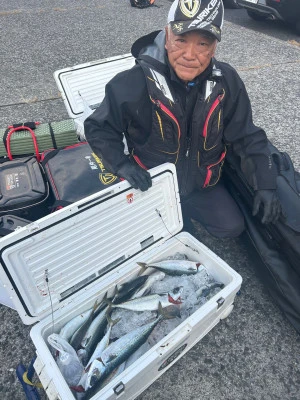 てる丸の2025年11月16日(日)5枚目の写真