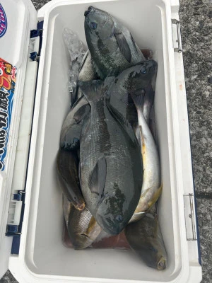 てる丸の2025年11月13日(木)1枚目の写真