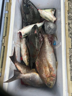 てる丸の2025年11月13日(木)3枚目の写真