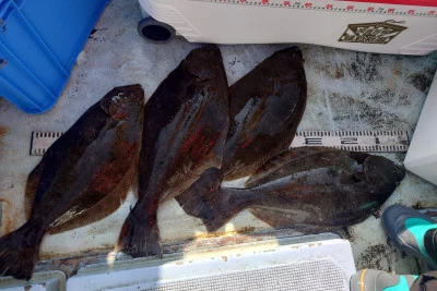 釣り船 秀進丸の2025年11月18日(火)5枚目の写真