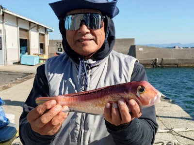 強丸の2025年11月18日(火)3枚目の写真