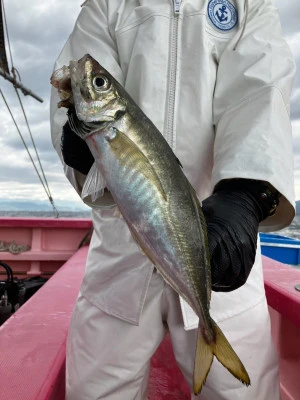 第八幸松丸の2025年11月19日(水)4枚目の写真