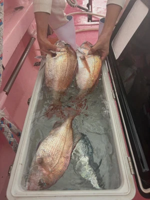 第八幸松丸の2025年11月19日(水)5枚目の写真