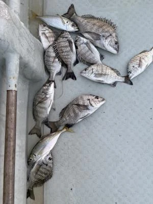 金丸渡船の2025年11月20日(木)3枚目の写真