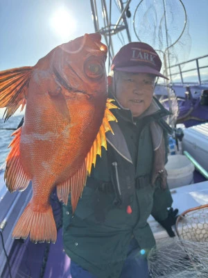 海龍丸の2025年11月20日(木)3枚目の写真