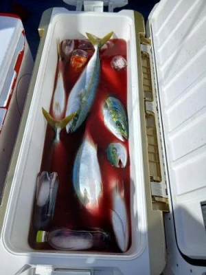 美喜丸の2025年11月4日(火)1枚目の写真