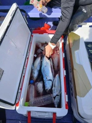 美喜丸の2025年11月4日(火)2枚目の写真