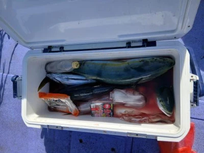 美喜丸の2025年11月4日(火)3枚目の写真