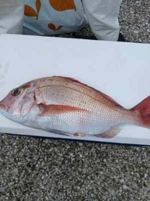 美喜丸の2025年11月1日(土)1枚目の写真