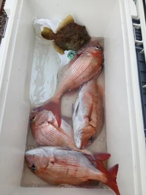 美喜丸の2025年11月1日(土)2枚目の写真