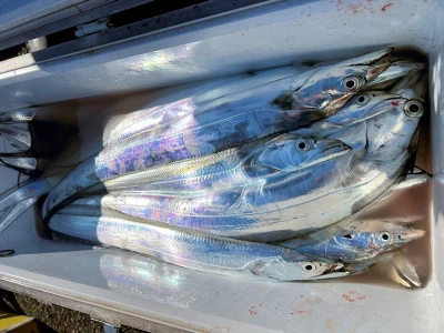 橋安丸の2025年11月21日(金)1枚目の写真