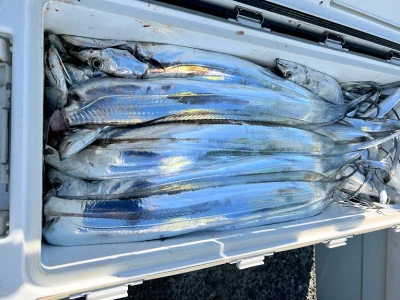 橋安丸の2025年11月21日(金)2枚目の写真