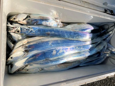 橋安丸の2025年11月21日(金)3枚目の写真