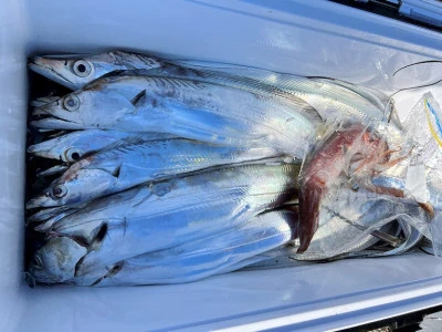 橋安丸の2025年11月21日(金)4枚目の写真