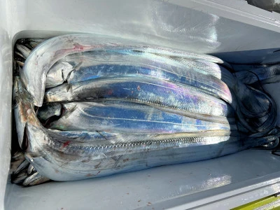 橋安丸の2025年11月21日(金)5枚目の写真