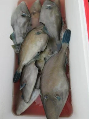 鈴木釣具店の2025年10月31日(金)1枚目の写真