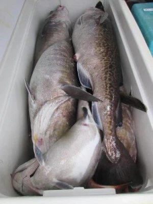 鈴木釣具店の2025年10月31日(金)2枚目の写真