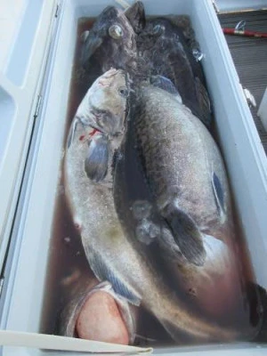 鈴木釣具店の2025年10月30日(木)1枚目の写真