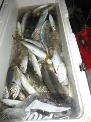 鈴木釣具店の2025年10月30日(木)3枚目の写真