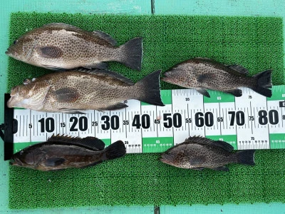 愛晃丸フィッシングの2025年11月21日(金)1枚目の写真