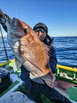 豊丸の2025年11月22日(土)1枚目の写真