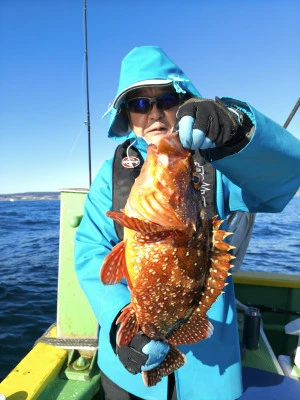 豊丸の2025年11月22日(土)3枚目の写真