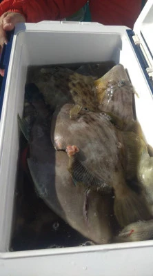 村井丸の2025年11月22日(土)5枚目の写真