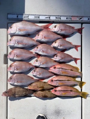 竜洞丸の2025年11月22日(土)1枚目の写真